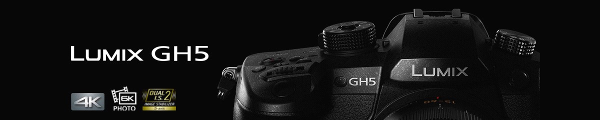 Immagini campione Panasonic Lumix GH5