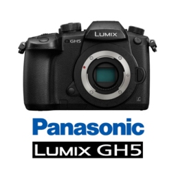 Manuale Istruzioni Panasonic Lumix GH5