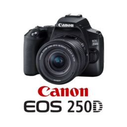 Manuale Istruzioni Canon Eos 250D