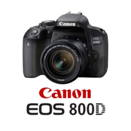 Fotocamera Canon EOS 800D Manuale utente stampato guida manuale 488 pagine A4 