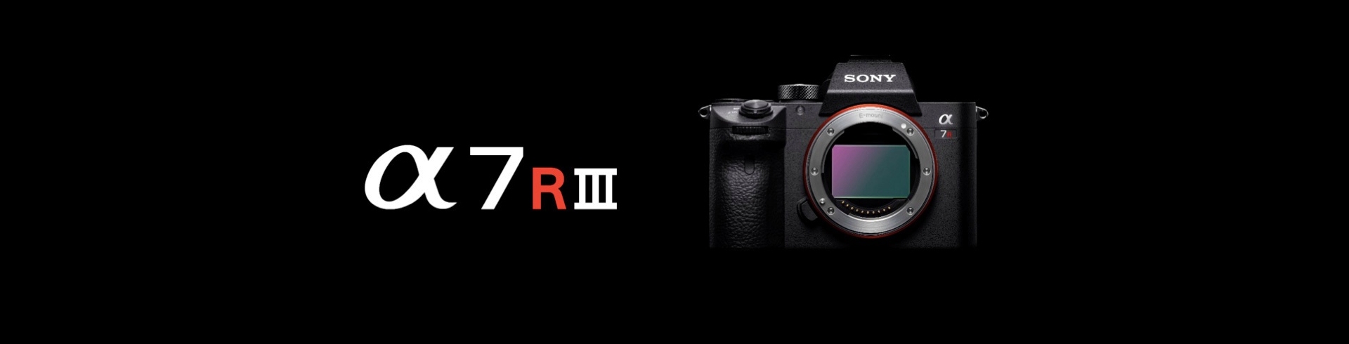 Immagini campione Sony A7R III (ILCE-7RM3)